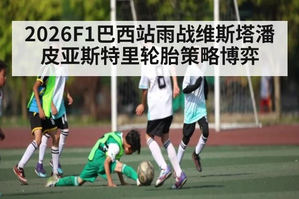 2026F1巴西站雨战维斯塔潘皮亚斯特里轮胎策略博弈